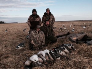 Waterfowl